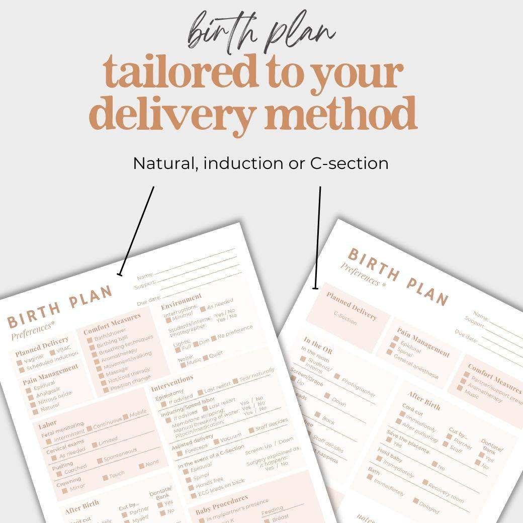 Medical Information Planner for Pregnant Moms by Birchmark Designs