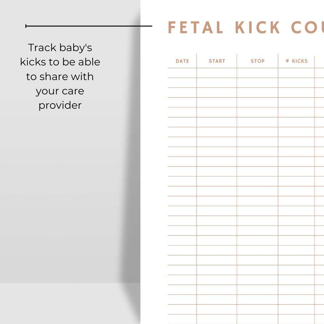 Medical Information Planner for Pregnant Moms by Birchmark Designs