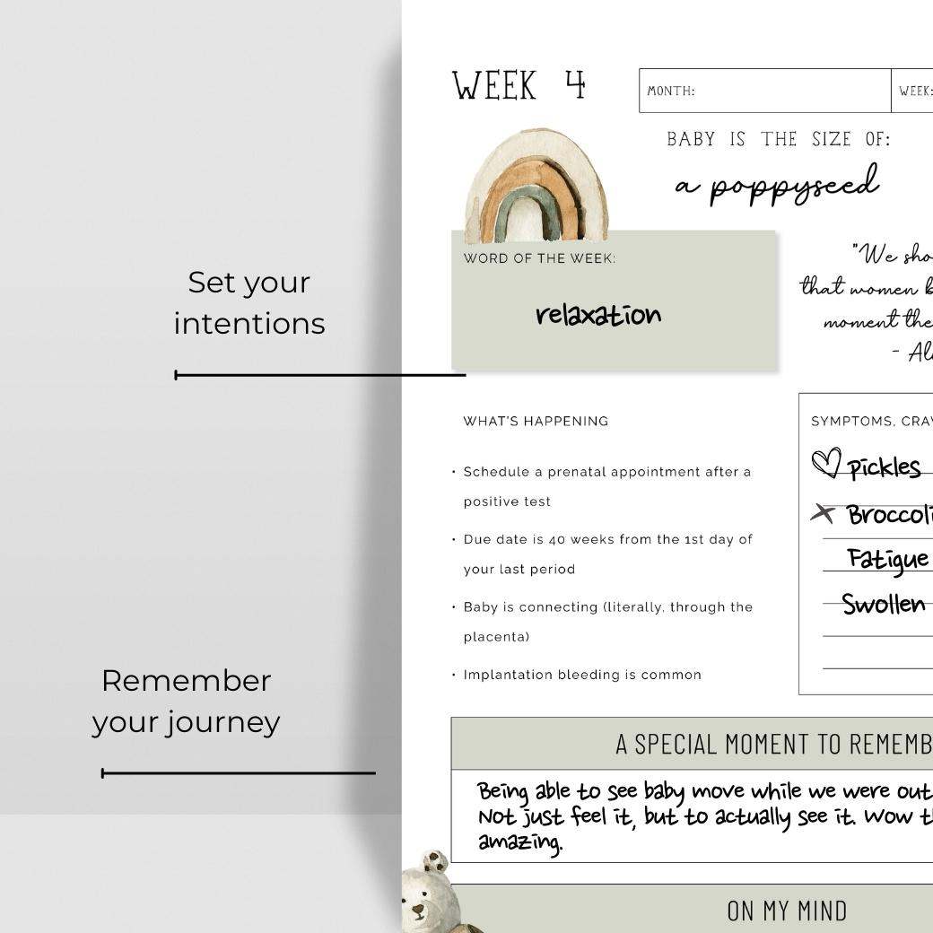 Weekly Plans by Birchmark Designs