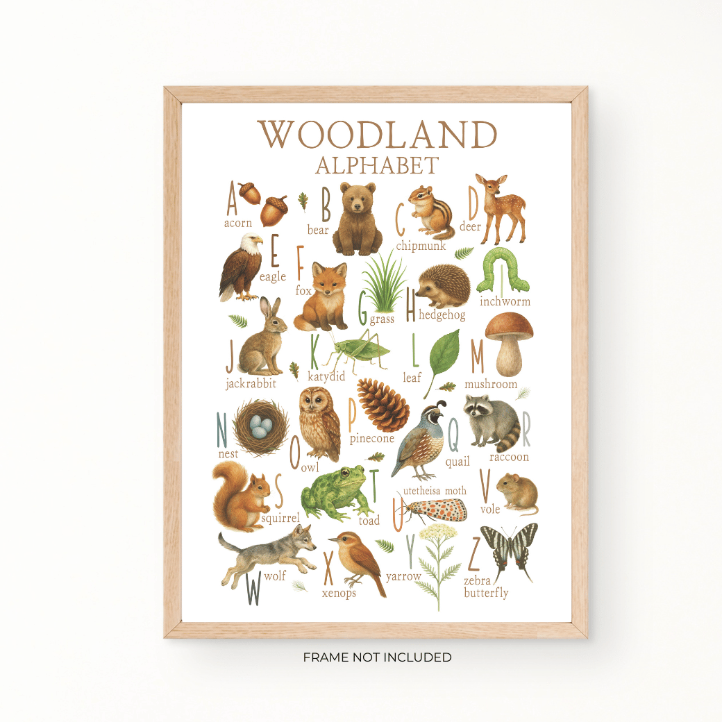 Woodland Early Learning Poster - Alphabet