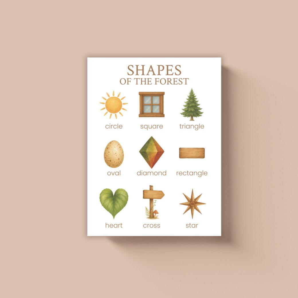 Educational poster titled &