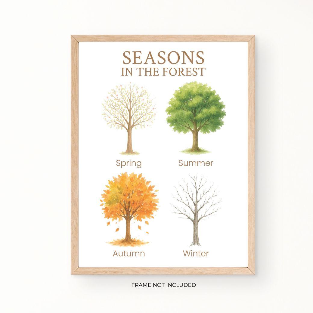 Poster with trees representing spring, summer, autumn, and winter for an early learning or homeschool classroom