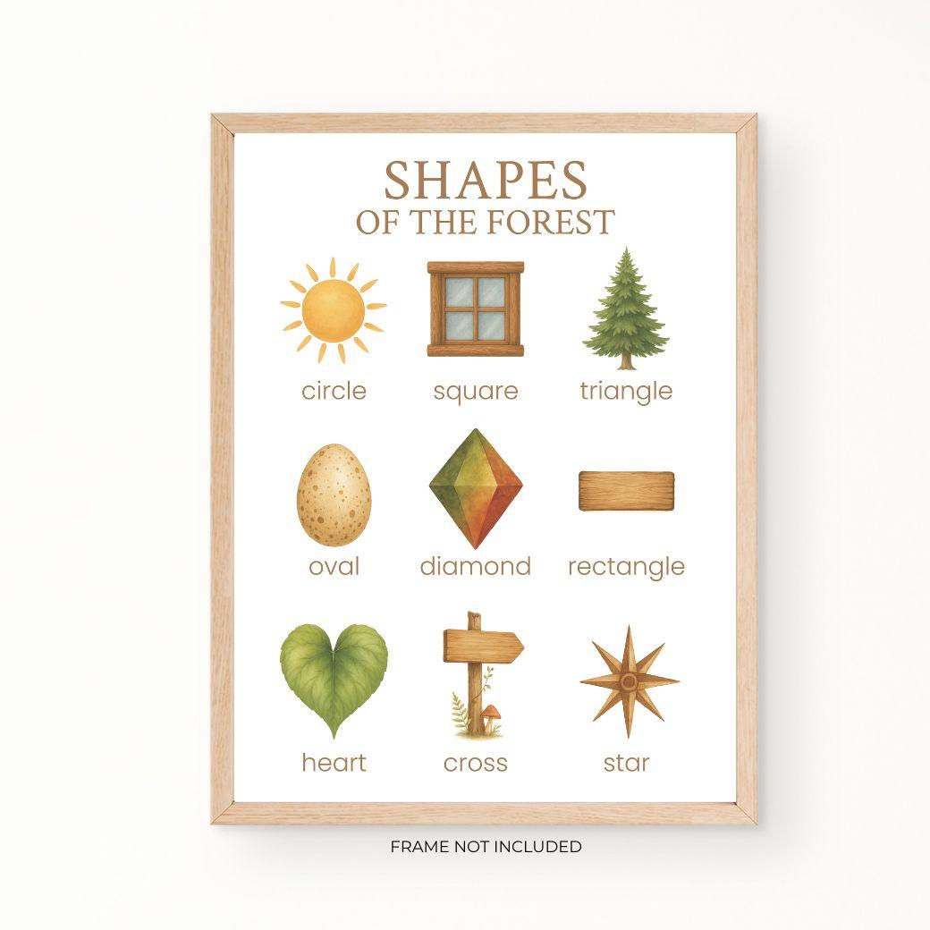 woodland shapes poster for early learning classrooms