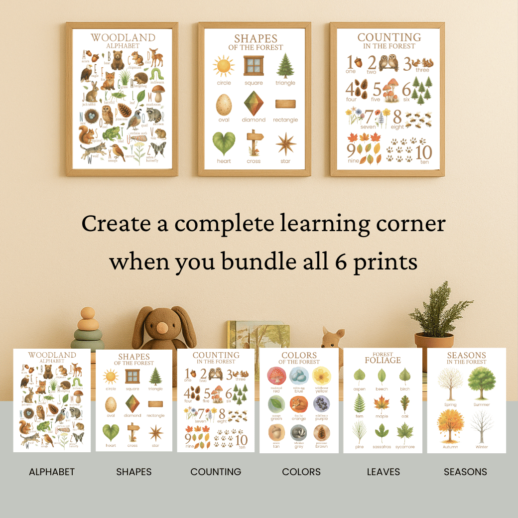 Set of educational posters on a wall with text promoting a complete learning corner.