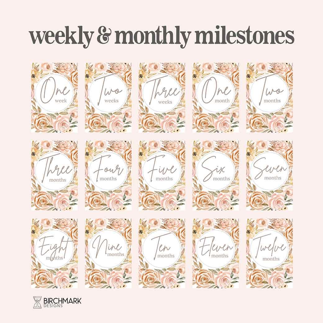 Poppy Printable Baby Milestone Cards - Birchmark Designs