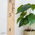 Maple growth chart ruler by Birchmark Designs