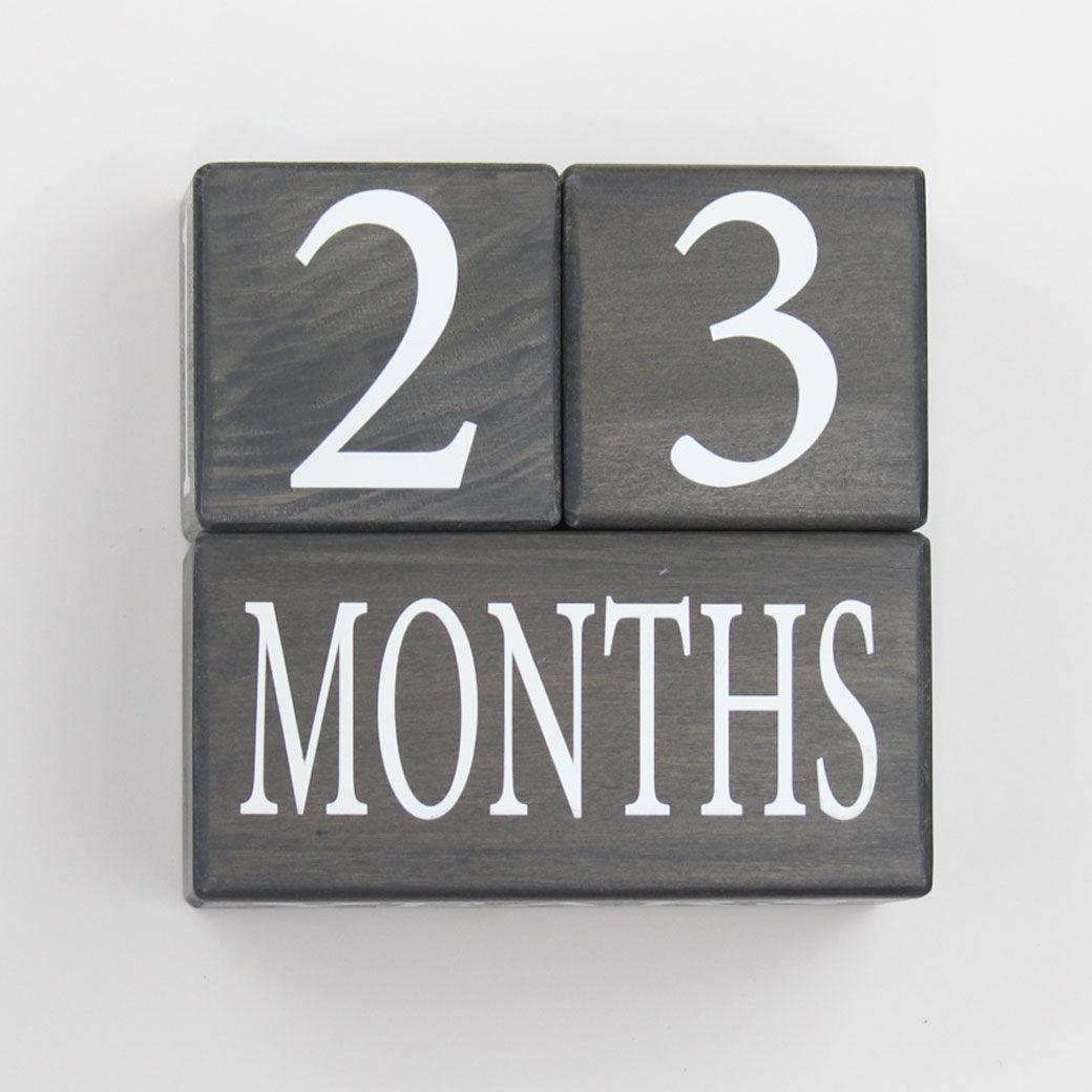 Spruce baby milestone blocks in dark gray showing 23 months