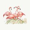 Flamingo Bookend Set