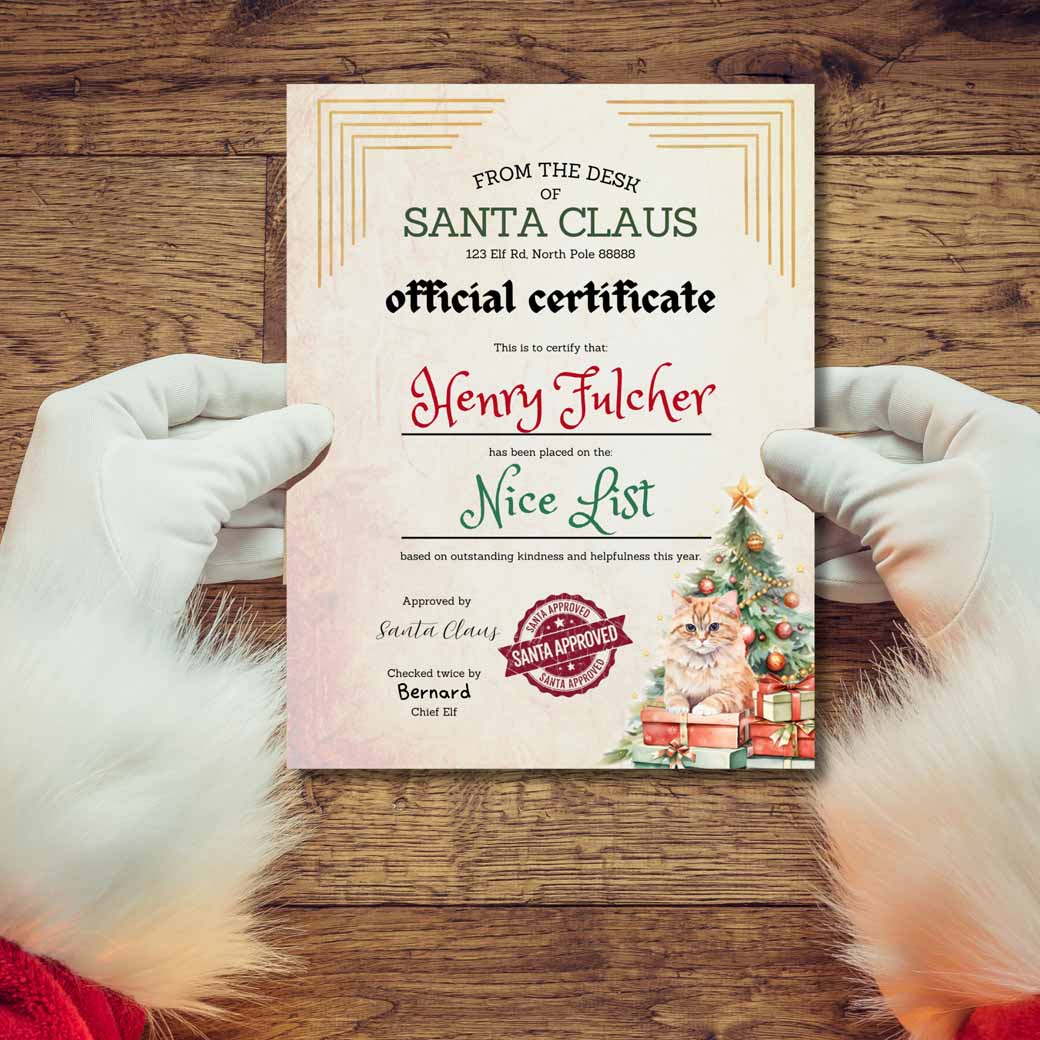 Cat Lovers Santa Letter Set