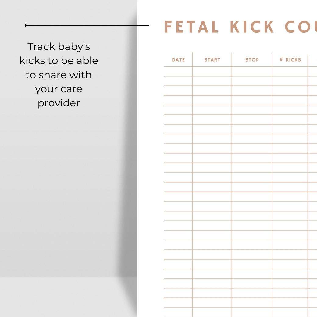 Medical Information Planner for Pregnant Moms by Birchmark Designs