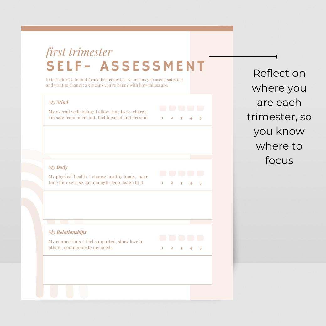 Self-Care Pregnancy Planner by Birchmark Designs