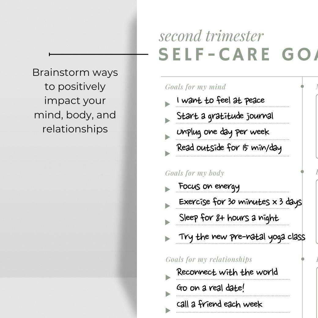 Self-Care Pregnancy Planner by Birchmark Designs