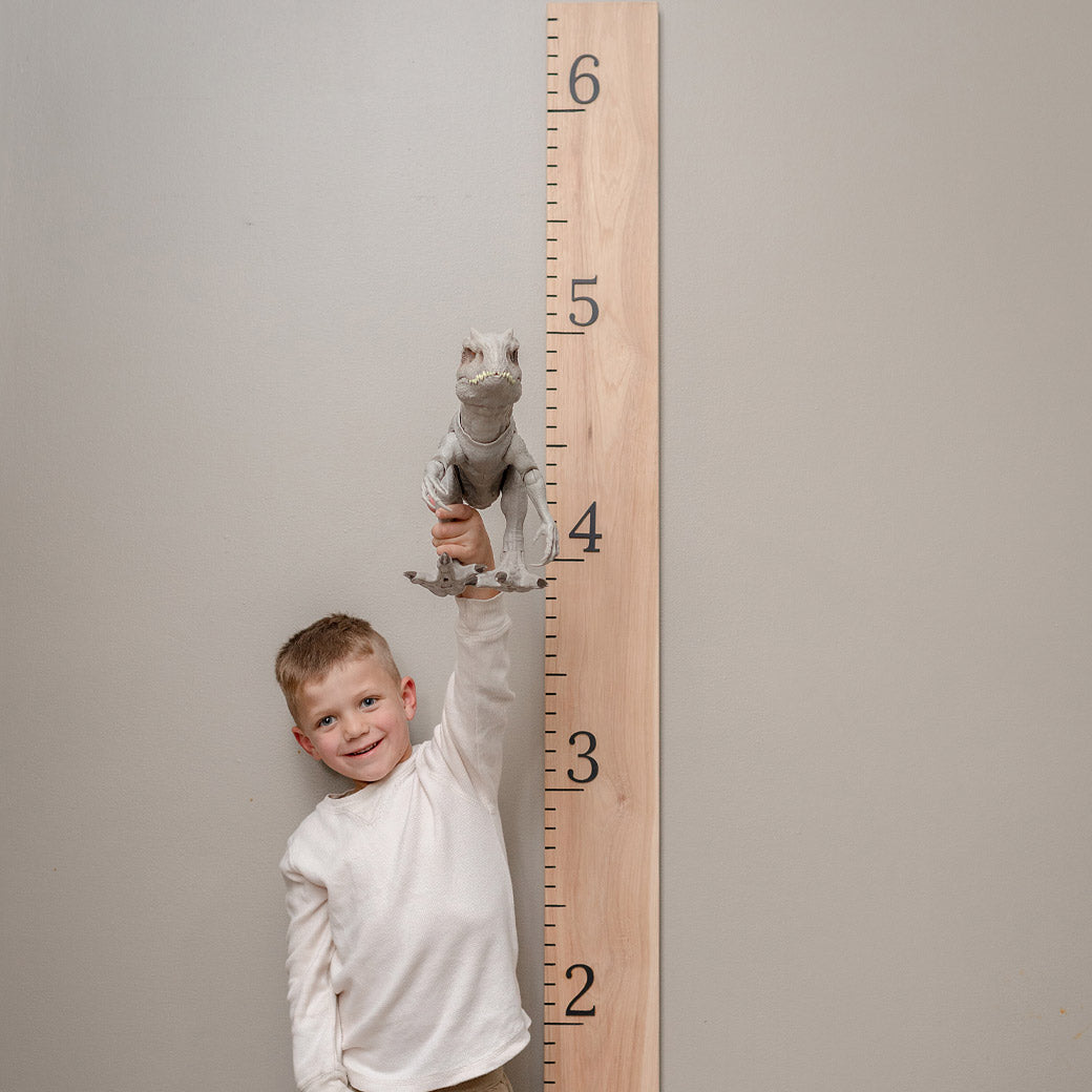 Hickory growth chart ruler with little boy