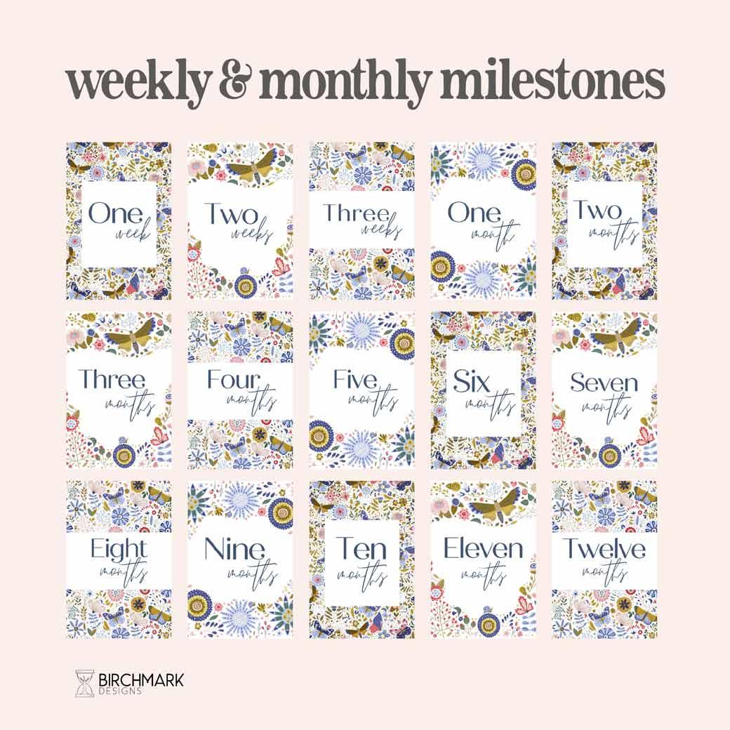 Birchmark Designs Mosaic Digital Baby Milestone Cards weekly and monthly cards