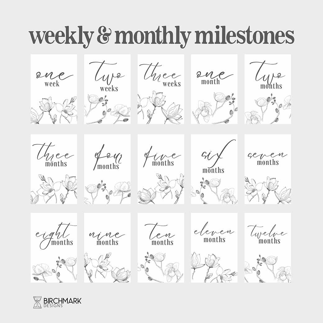 Bianca Printable Baby Milestone Cards - Birchmark Designs