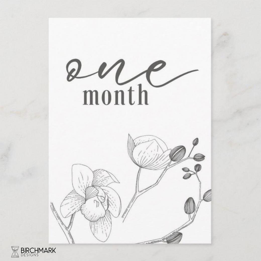 Bianca Printable Baby Milestone Cards - Birchmark Designs