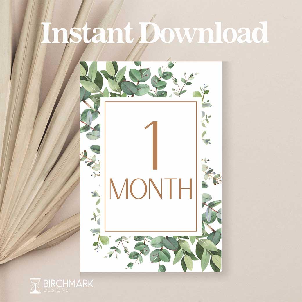 Editable Baby Month. Sign Free Printable Baby Month Signs Baby Announcement Sign, Round Baby