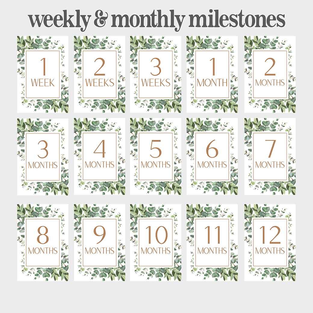 Birchmark Designs Eden Digital Baby Milestone Cards Weekly and Monthly