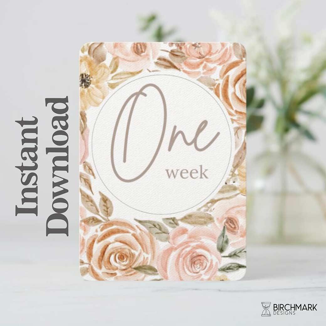 Poppy Printable Baby Milestone Cards - Birchmark Designs