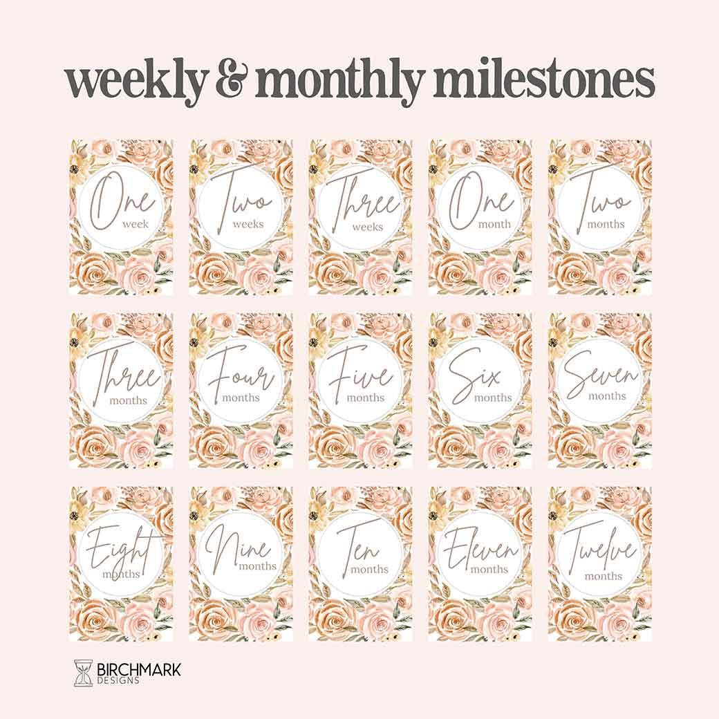 Poppy Printable Baby Milestone Cards - Birchmark Designs