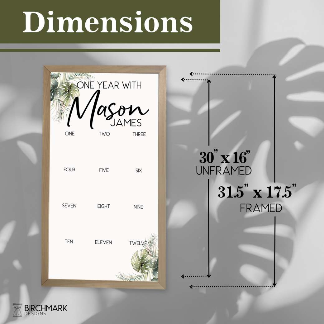 First Year Frame Tropical Dimensions by Birchmark Designs