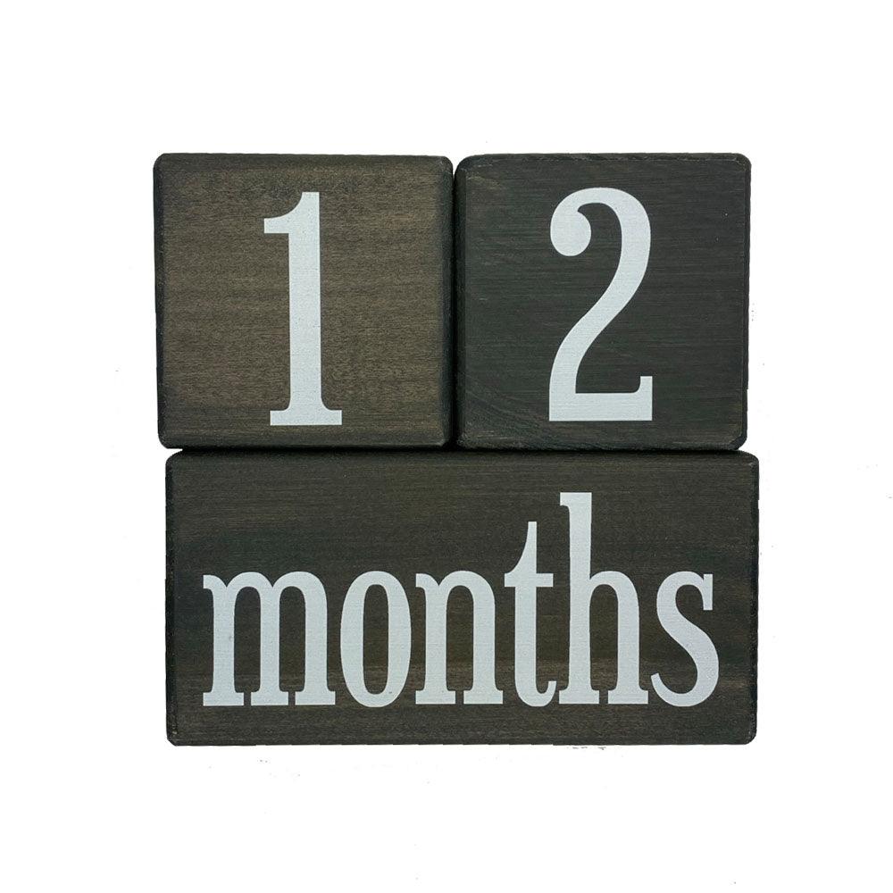 Hickory baby milestone blocks in dark gray as 12 months