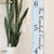 white and black growth chart ruler for kids